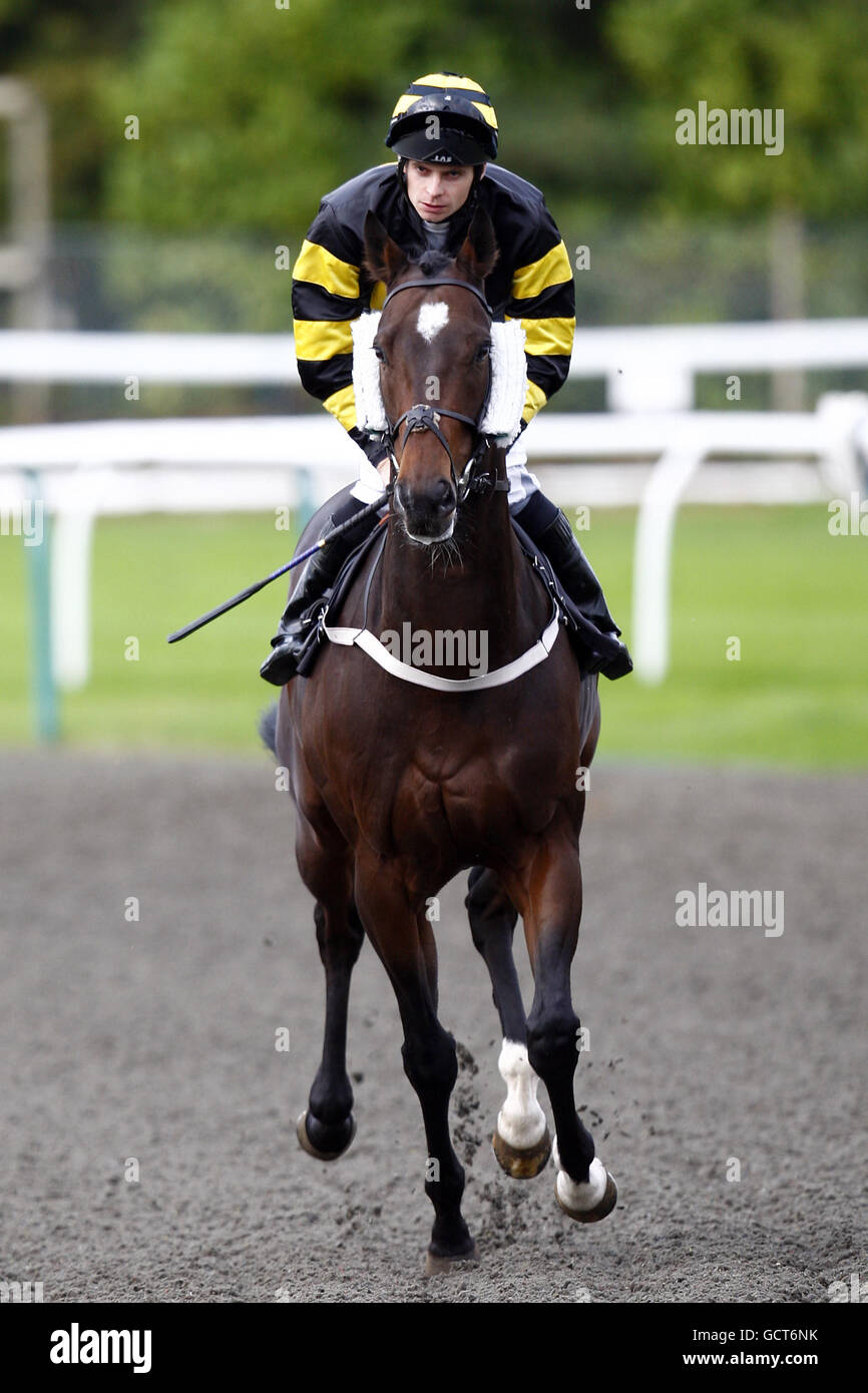 Sir ike wird von jockey ferguson sweeney geritten -Fotos und ...