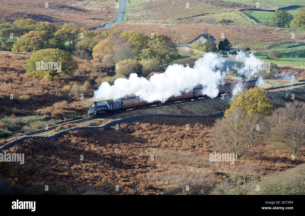 Die Dampfmaschine 60007 'Sir Nigel Gresley' macht sich nach mehrmonatiger Reparatur durch die herbstlichen Bäume entlang der North Yorkshire Moors Railway bei Goathland auf den Weg. Stockfoto