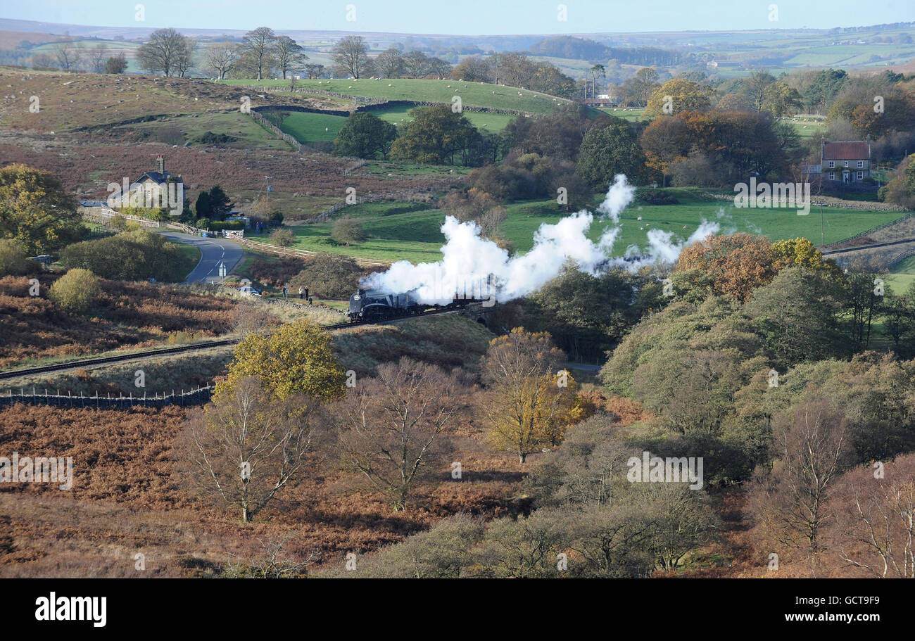 Die Dampfmaschine 60007 'Sir Nigel Gresley' macht sich nach mehrmonatiger Reparatur durch die herbstlichen Bäume entlang der North Yorkshire Moors Railway bei Goathland auf den Weg. Stockfoto