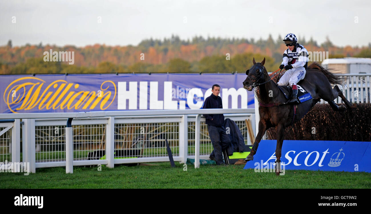 SAFARI JOURNEY von Richard Johnson gewinnt die Byrne Group Handicap Steeple Chase. Stockfoto