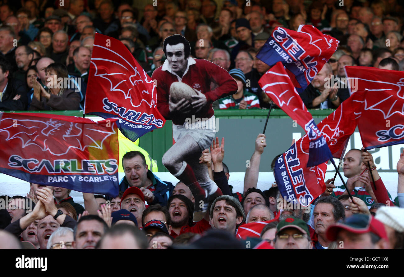 Llanelli Scarlets Fans zeigen ihre Unterstützung in den Tribünen als Sie zeigen einen Karton-Ausschnitt aus ehemaligen Llanelli und Wales Fliegen Sie halb Phil Bennett Stockfoto