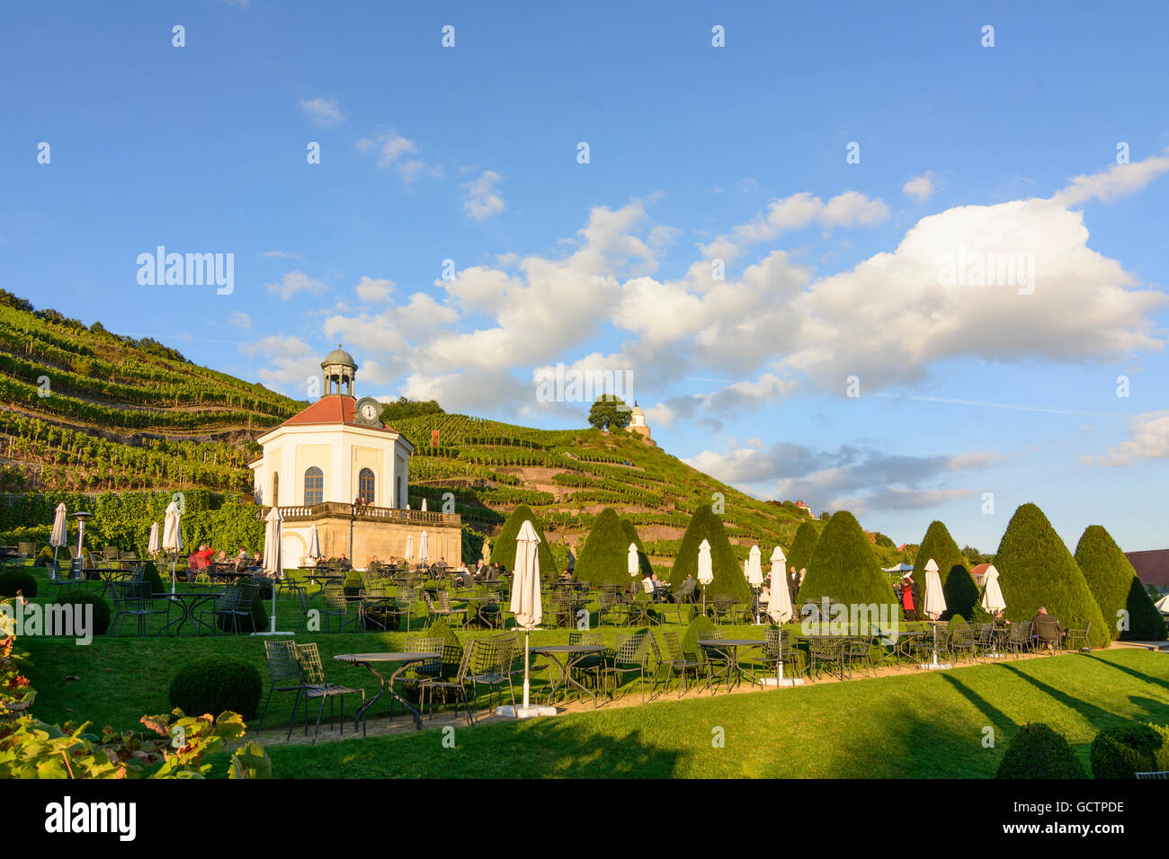 Radebeul Belvedere im sächsischen Staat Weingut Wackerbarth Schloss mit Weinbergen Deutschland Sachsen, Sachsen Stockfoto