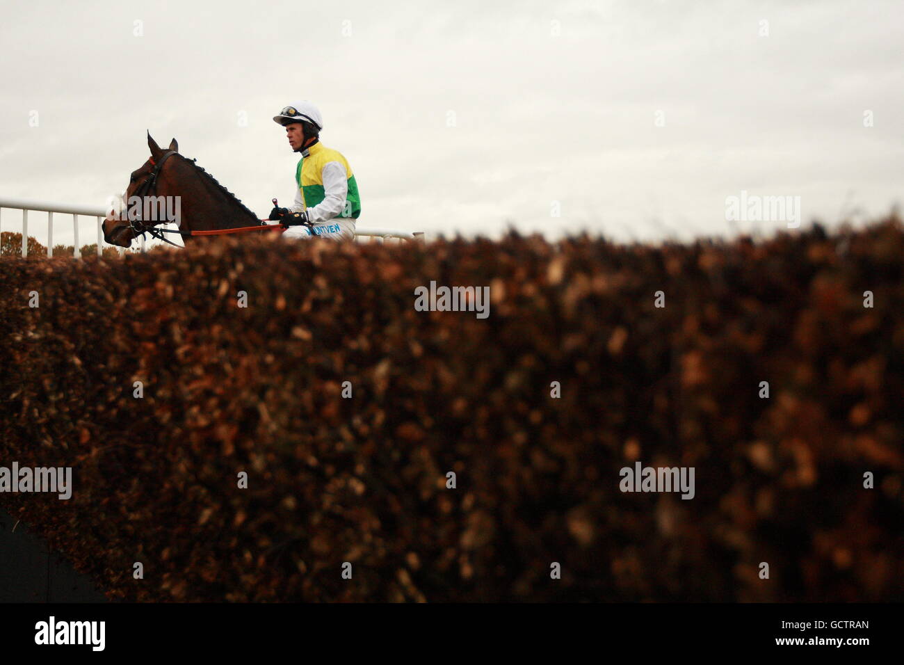 Pferderennen - Racing wohl Raceday - Haydock Park Stockfoto