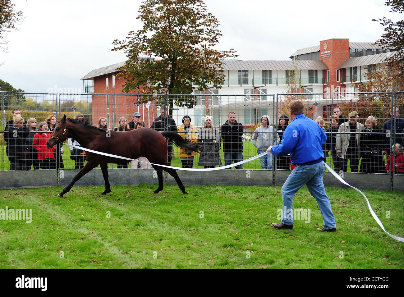 Pferderennen - Züchtertag - Lingfield Park. Pferdeflüsterer Gary Witheford während des Breeders' Day im Lingfield Park Stockfoto