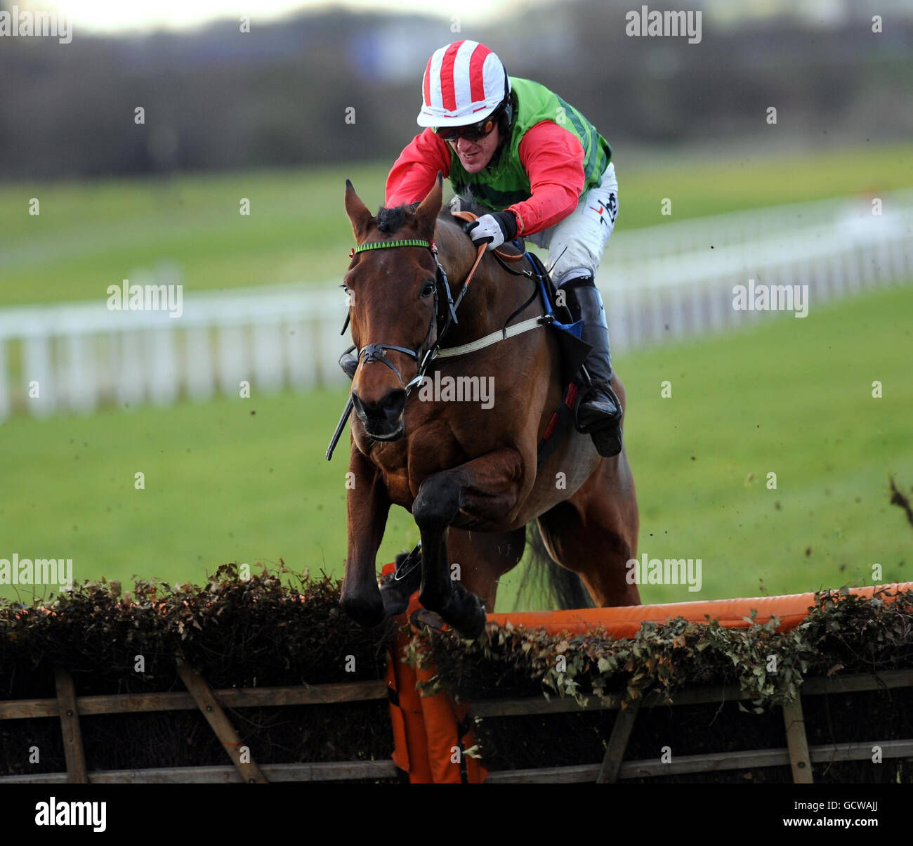Tony McCoy auf Local Hero springt den letzten Flug, bevor er das Subscribe to Racing UK Juvenile Maiden Hürdenrennen auf der Wetherby Racecourse gewinnt. Stockfoto