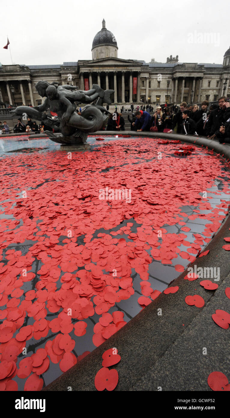 Mohnblumen in einer der Brunnen am Trafalgar Square in London nach zwei Minuten Stille, Donnerstag, 11. November 2010 schweben. PRESSEVERBAND Foto: Rebecca Naden/PA Wire Stockfoto