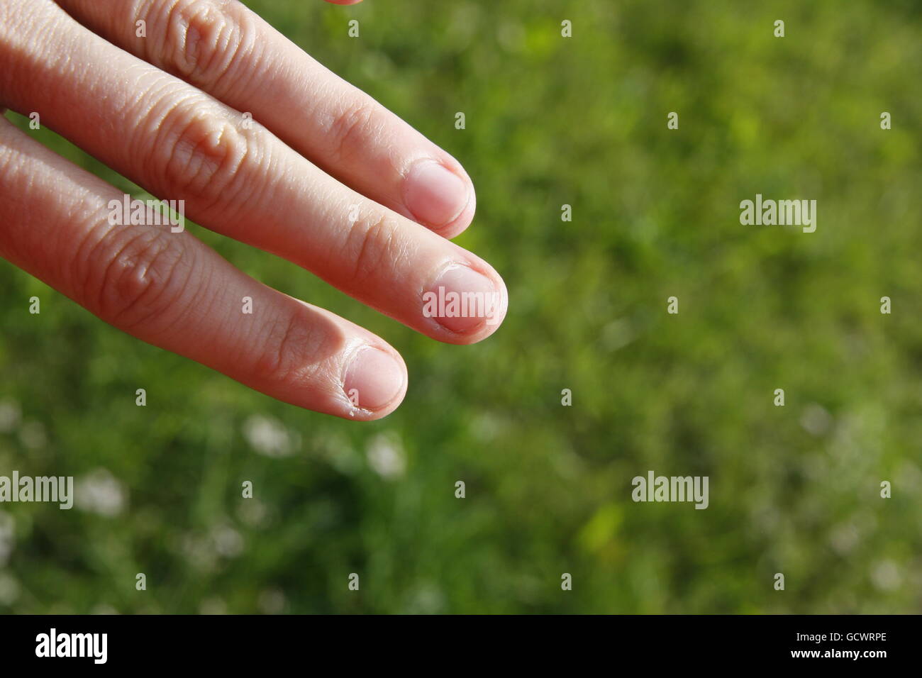 Nägel Essen Stockfoto