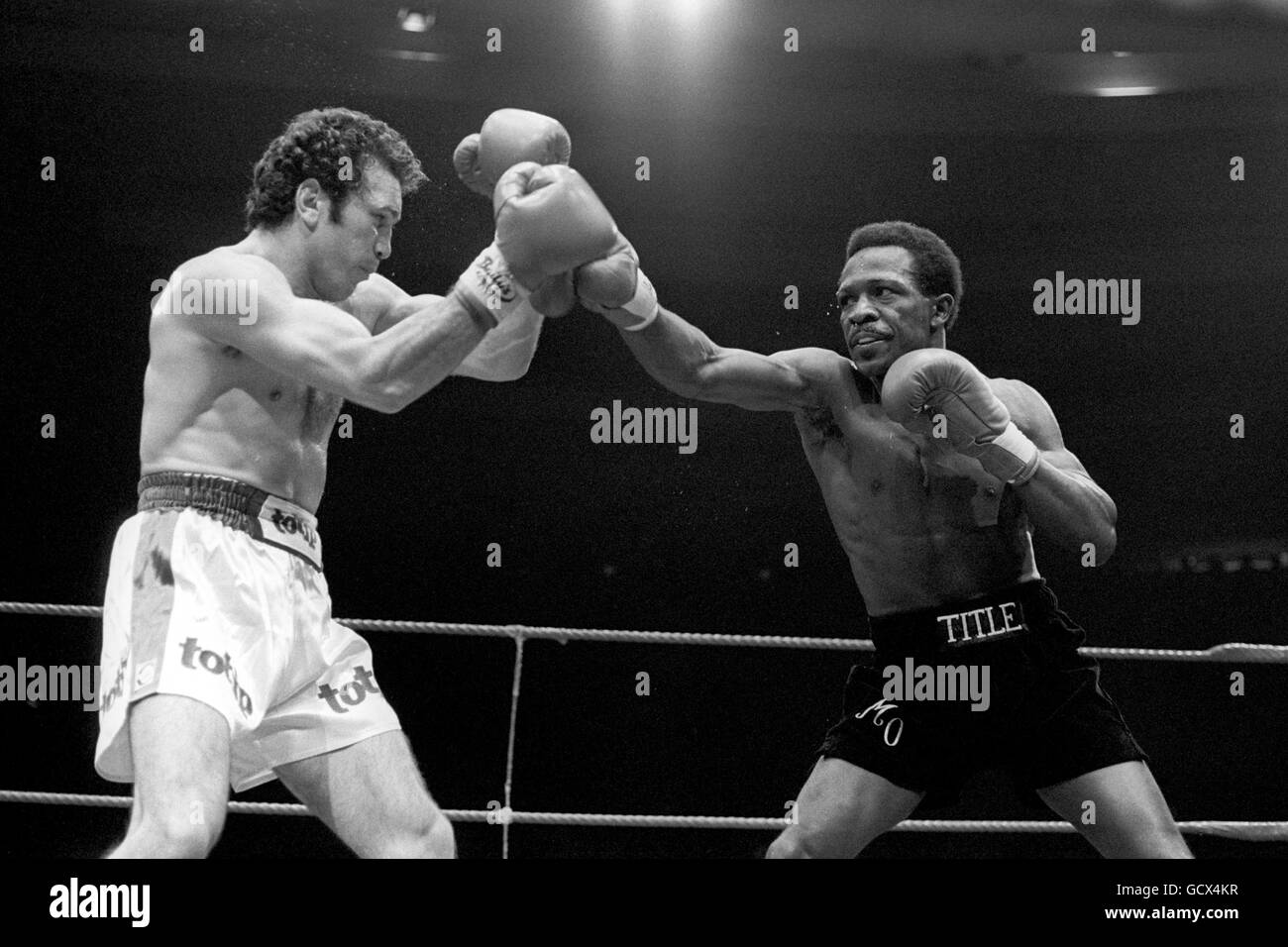 Boxen - WBC Licht-Titel im Mittelgewicht - Maurice Hope V Rocky Mattioli - Conference Centre, Wembley Stockfoto