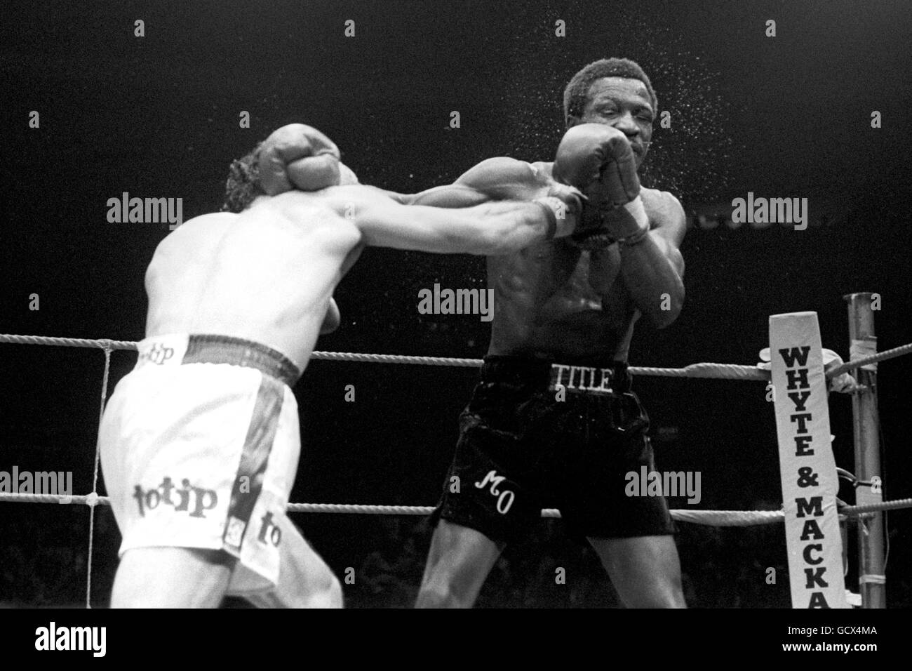 Boxen - WBC Licht-Titel im Mittelgewicht - Maurice Hope V Rocky Mattioli - Conference Centre, Wembley Stockfoto