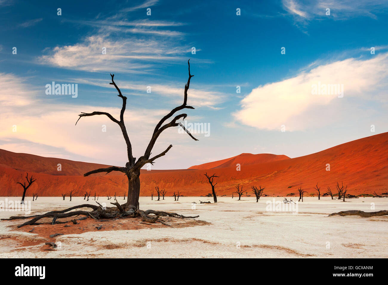 Blick auf das Deadvlei in Namibia, Afrika Stockfoto