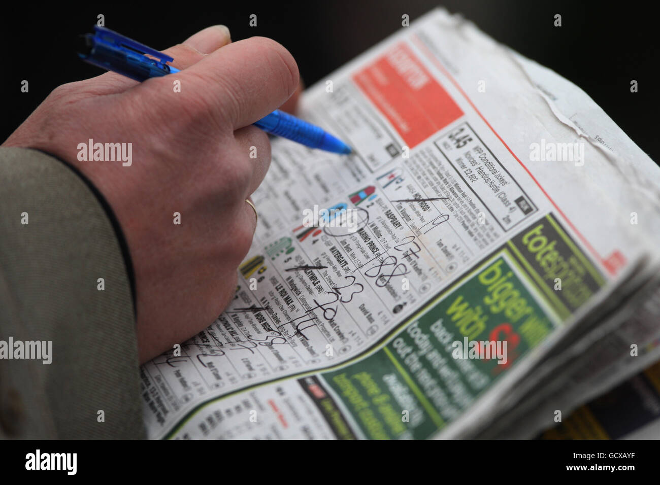 Ein Horse Racing Fan schaut auf die Rennkarte in der Racing Post auf der Kempton Park Racecourse, Middlesex. Stockfoto