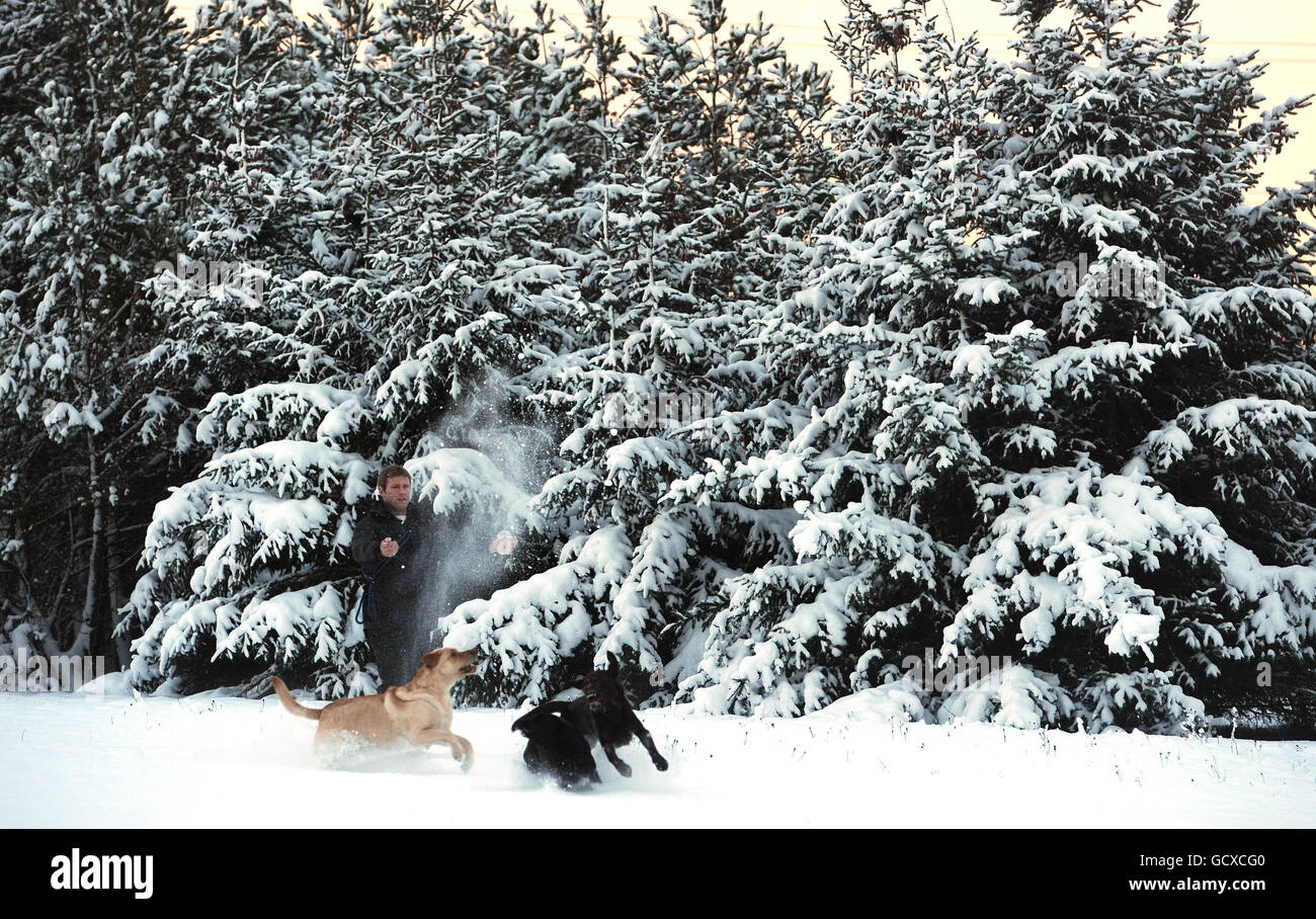 Ein Mann geht mit seinen Hunden durch den tiefen Schnee im Big Waters Country Park in Newcastle, während der Kälteeinbruch Großbritannien trifft. Stockfoto