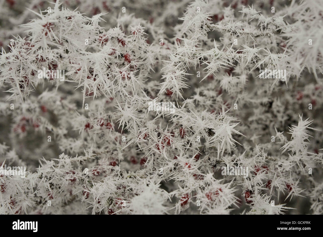 Winterwetter - 7. Dez. Stockfoto