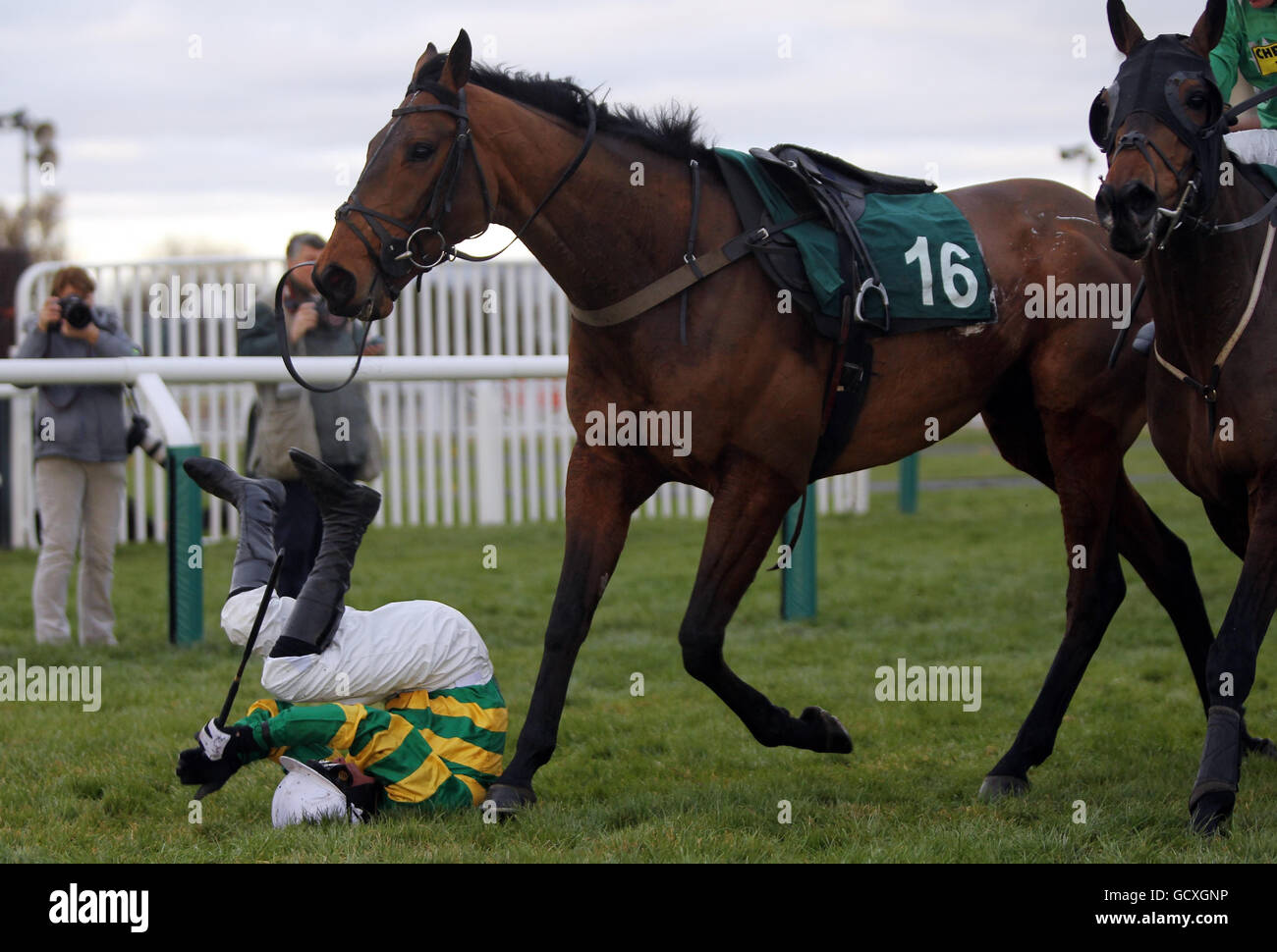 Richie McLernon ist faller auf 45 in der CF Roberts Electrical Mechanical Services Conditional Jockeys' Handicap Steeple Chase auf der Cheltenham Racecourse, Cheltenham. Stockfoto