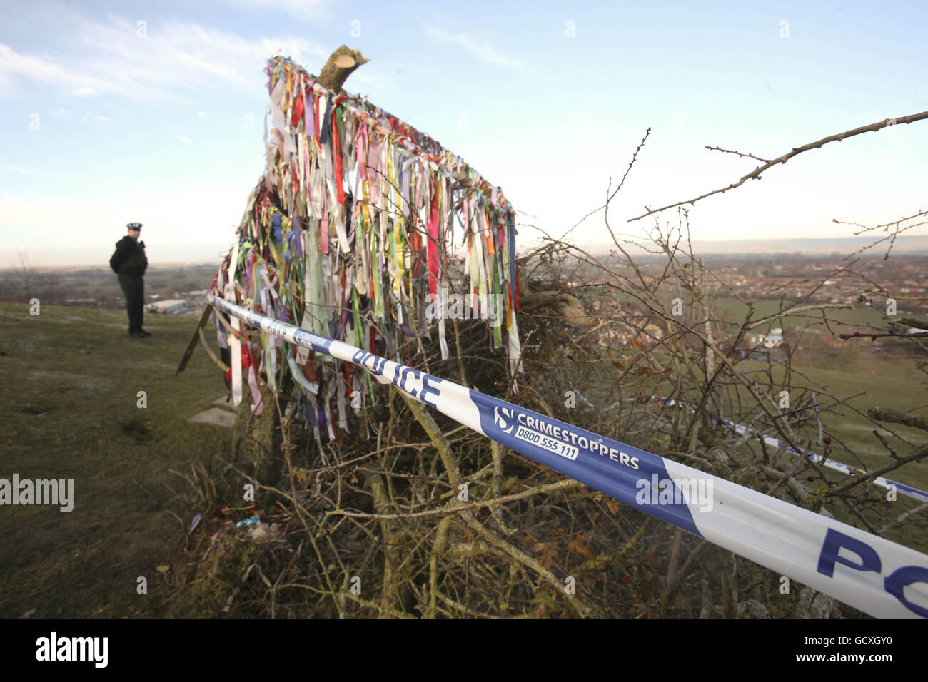 Der zerstörte Glastonbury Holy Thorn Tree - berühmt für seine Verbindung zu St. Joseph von Arimathea - der zerhackt und auf einen Stumpf reduziert wurde. Stockfoto