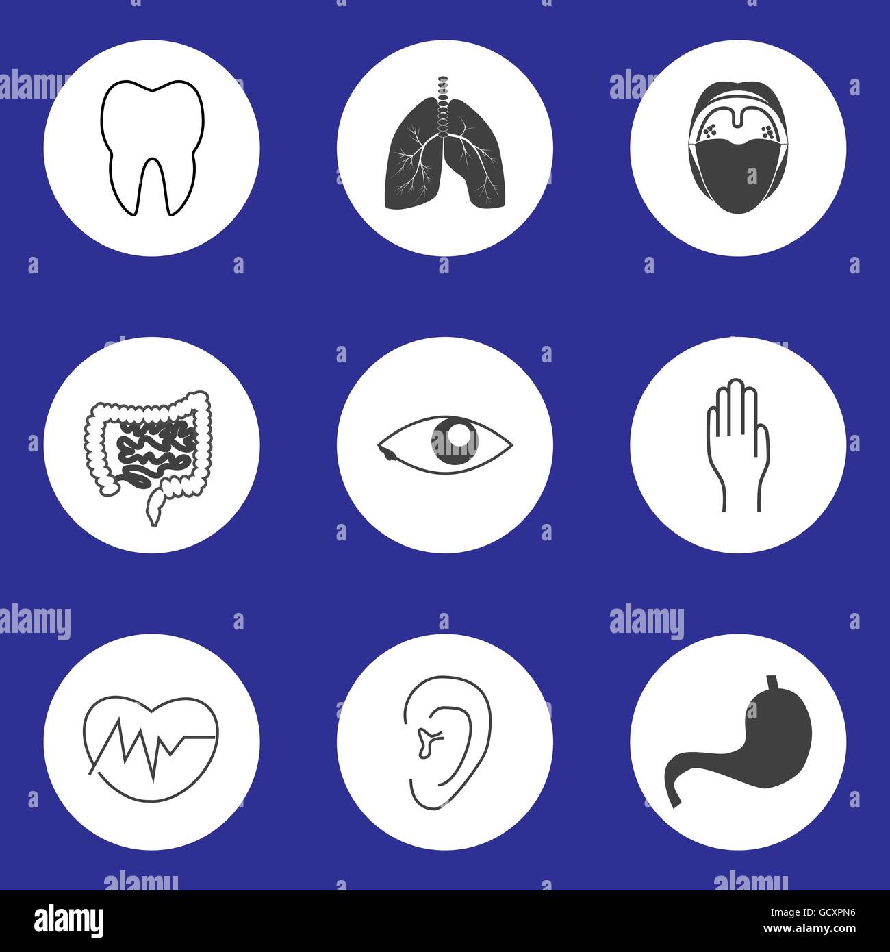 Symbole der menschlichen Organe Stock Vektor