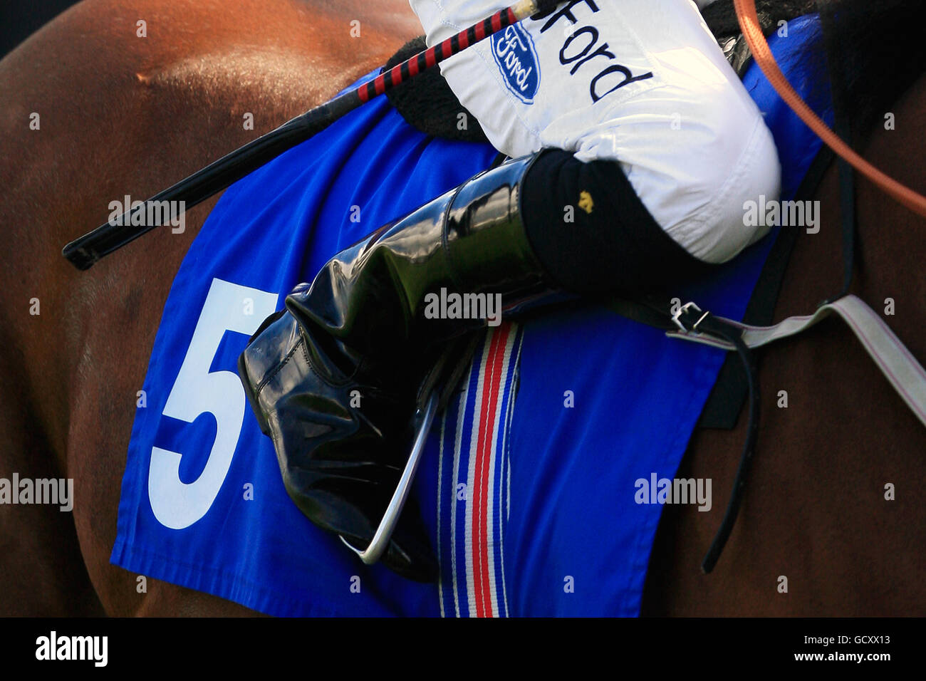 Pferderennen - William Hill Gold Cup Festival - Tag Drei - Ayr Racecourse. Satteltuch beim William Hill Gold Cup Festival Stockfoto