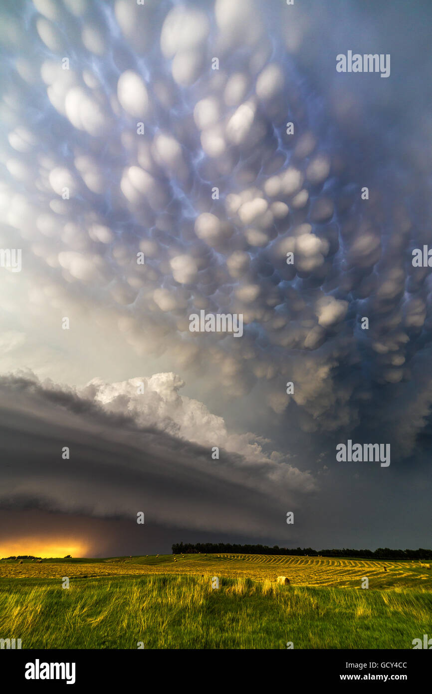 Mammatus Wolken über eine Superzelle Burwell, Nebraska, in der Nähe von 16. Juni 2014. Stockfoto