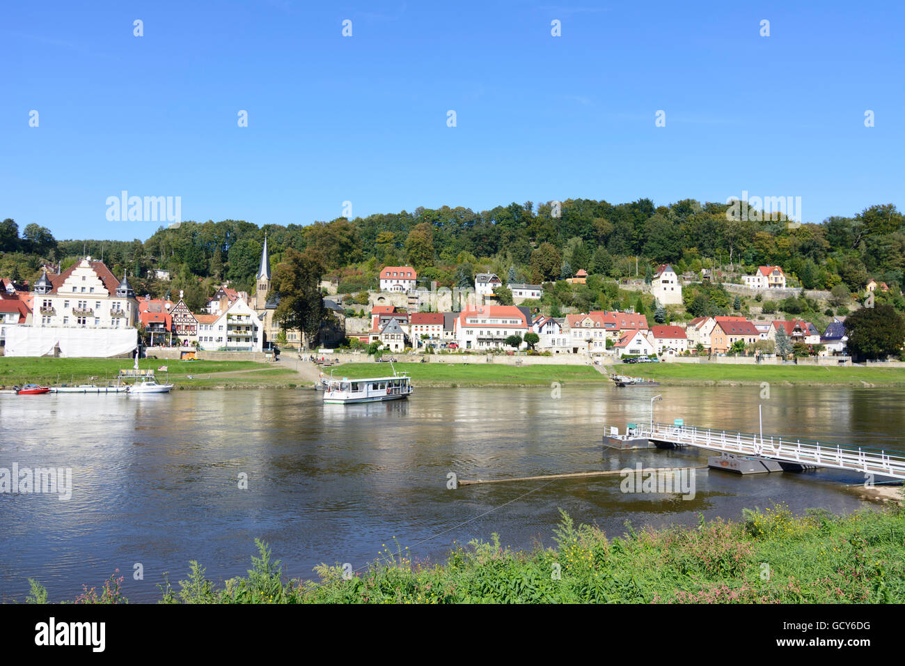 Stadt Wehlen Fähre auf der Elbe mit Blick auf die Stadt Wehlen Deutschland Sachsen, Sachsen Stockfoto