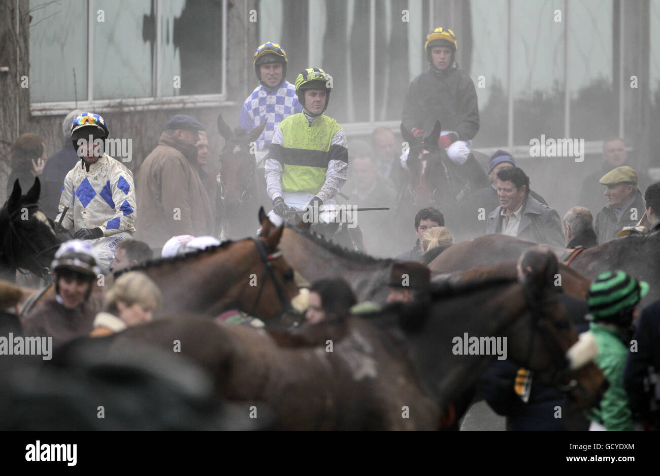 Läufer und Reiter kehren nach der Bord na Mona Clean Air Maiden Hürde während des Bord na Mona Day of the Christmas Festival auf der Leopardstown Racecourse, Dublin, Irland, zum Fahrerlager zurück. Stockfoto