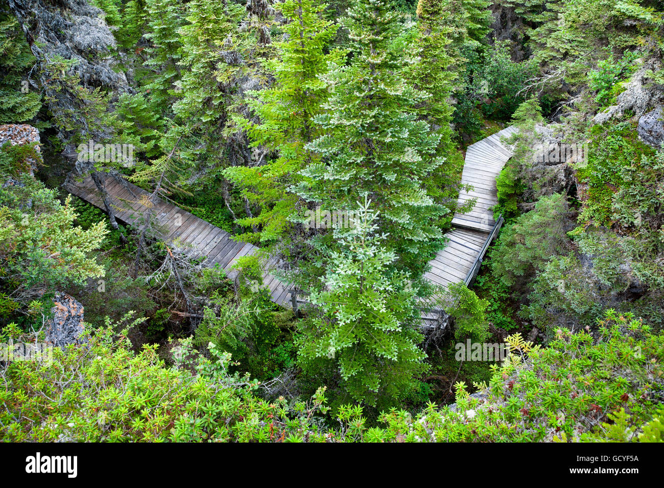 Mingan Archipel National Park Reserve; Quebec, Kanada Stockfoto