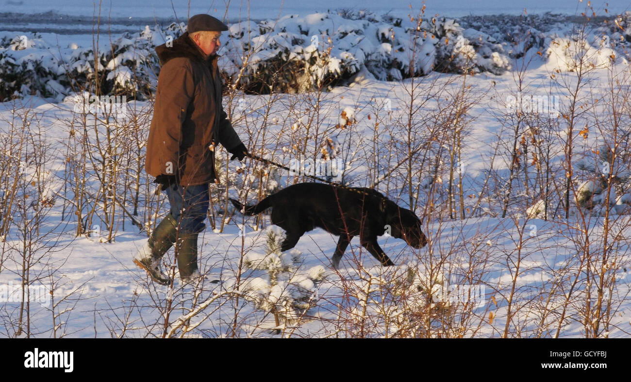 Ein Mann geht nach frischen Schneefällen mit seinem Hund in der Nähe der Harthill-Tankstelle auf der M8 in Schottland. Stockfoto