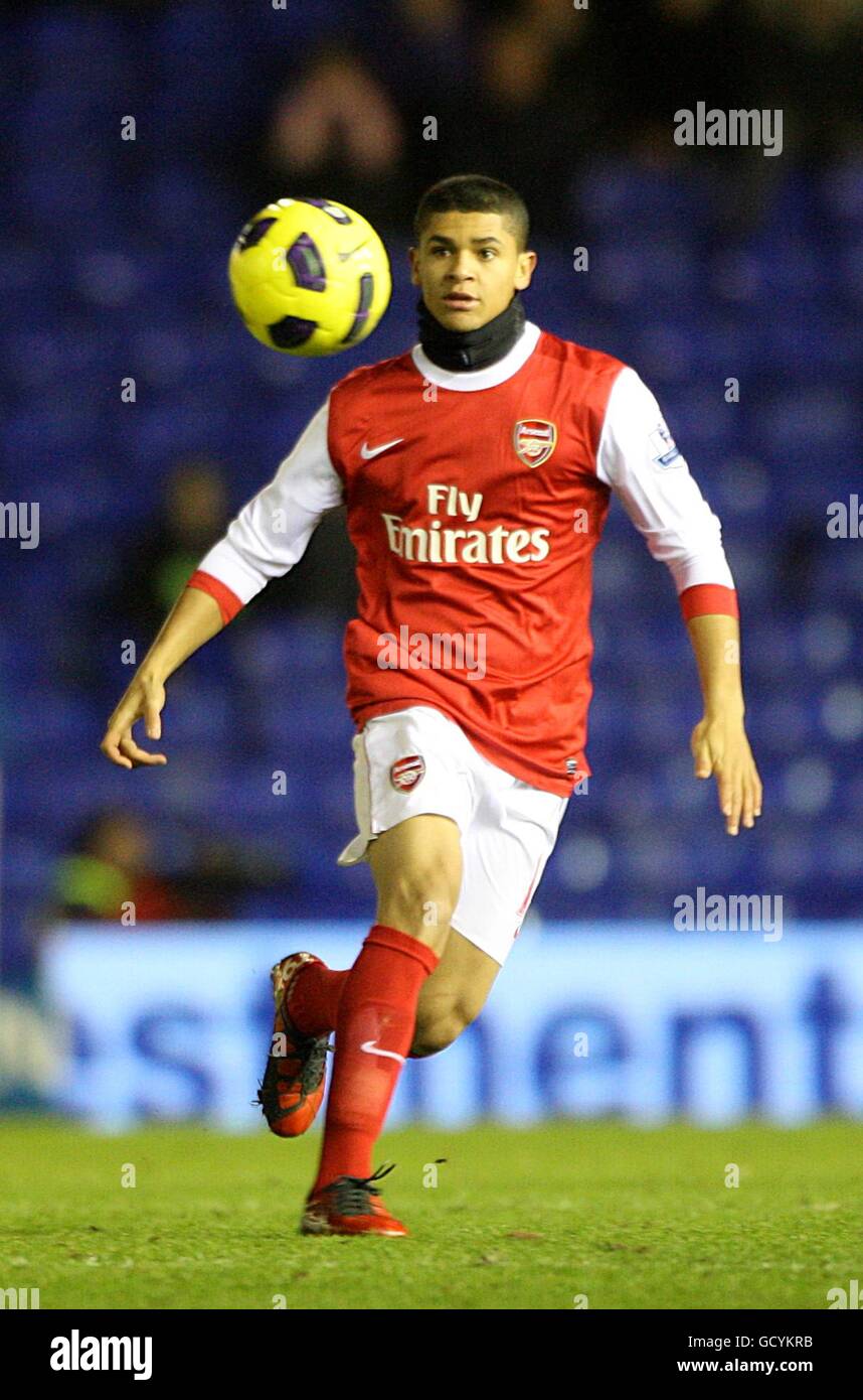 Fußball - Barclays Premier League - Birmingham City / Arsenal - St. Andrew's. Neves Denilson, Arsenal Stockfoto