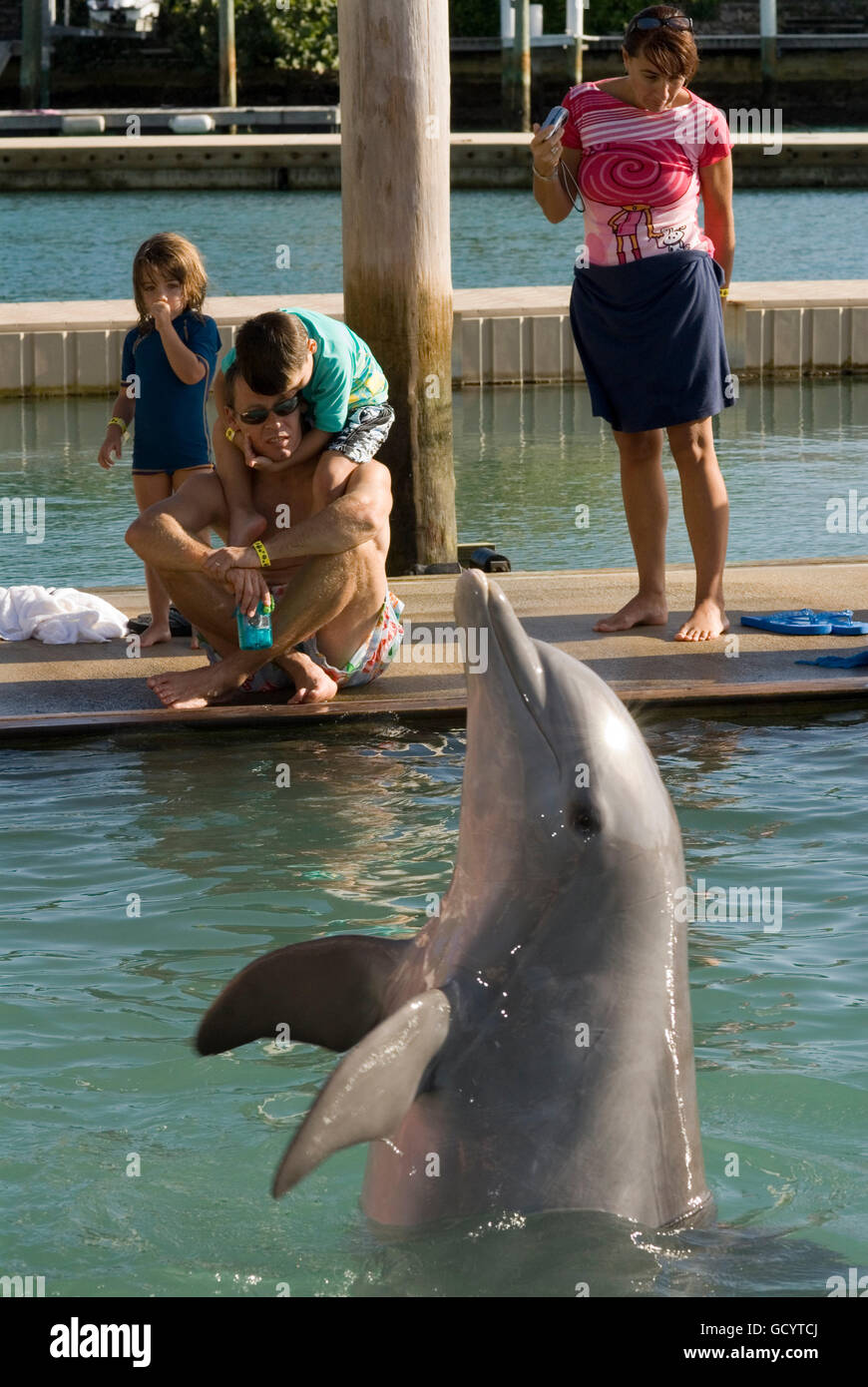 Sanctuary Bay, Grand Bahama. Bahamas. UNEXSO. Schwimmen Programm und Begegnung mit den Delfinen. Stockfoto