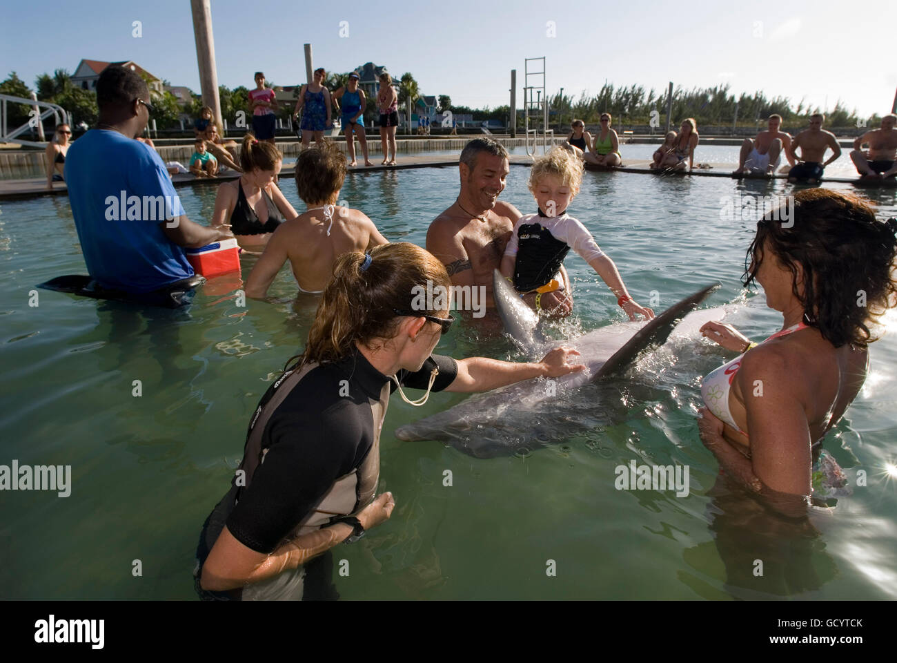 Sanctuary Bay, Grand Bahama. Bahamas. UNEXSO. Schwimmen Programm und Begegnung mit den Delfinen. Stockfoto