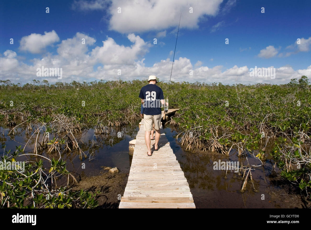 Grand Bahama, Bahamas. Mangroven-Pfad. Die Lucayan Nationalpark zu erkunden. Grand Bahama Island, alte Freetown. Spazierweg durch M Stockfoto