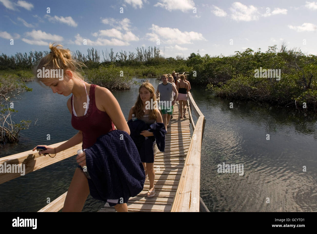 Grand Bahama, Bahamas. Mangroven-Pfad. Die Lucayan Nationalpark zu erkunden. Grand Bahama Island, alte Freetown. Spazierweg durch M Stockfoto