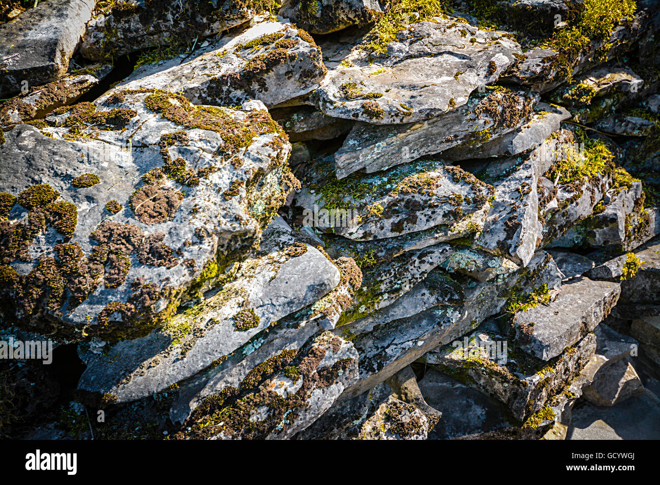 Die Sonne scheint auf Felsen bedeckt in Flechten und Moos Textur und Interesse auf einem terrassierten Kalkstein Felswand erstellen Stockfoto