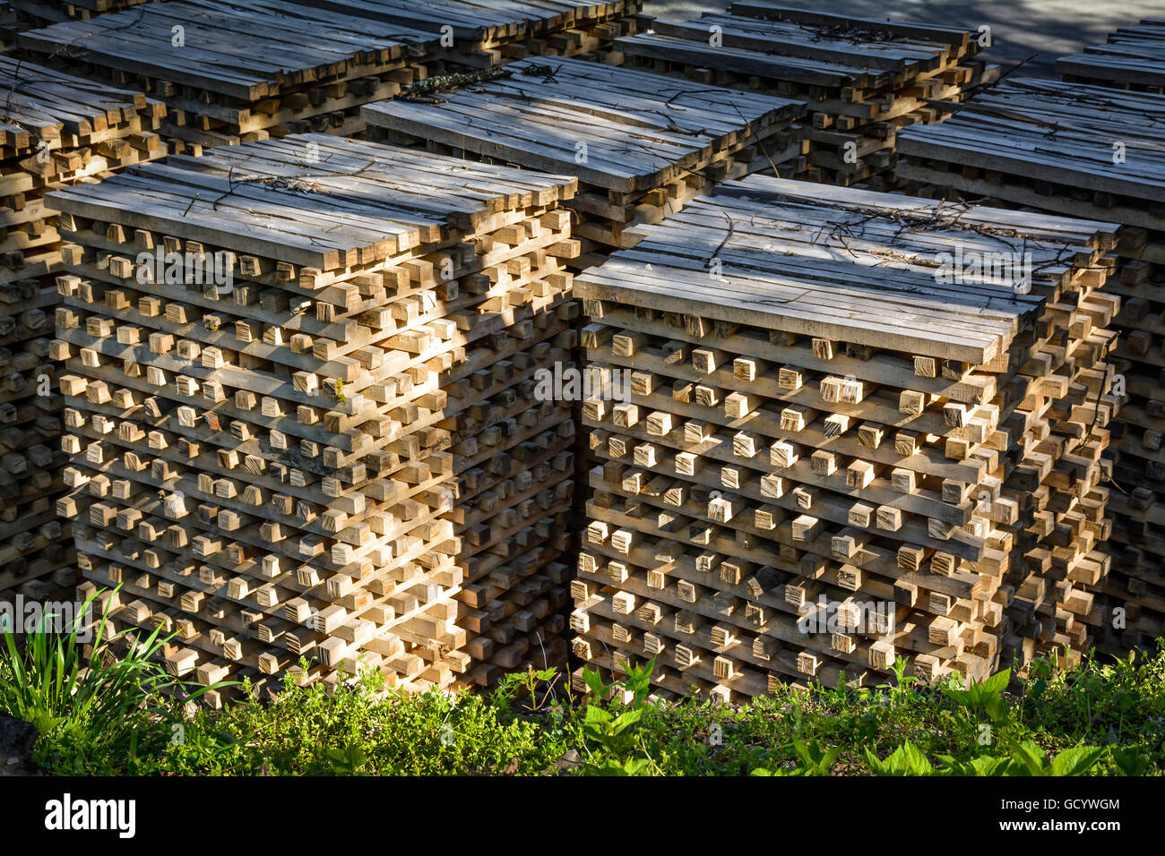 Stapel von Ahorn Holz Ricks für langsame brennen, um Holzkohle zu produzieren Nahaufnahme Detail Stockfoto