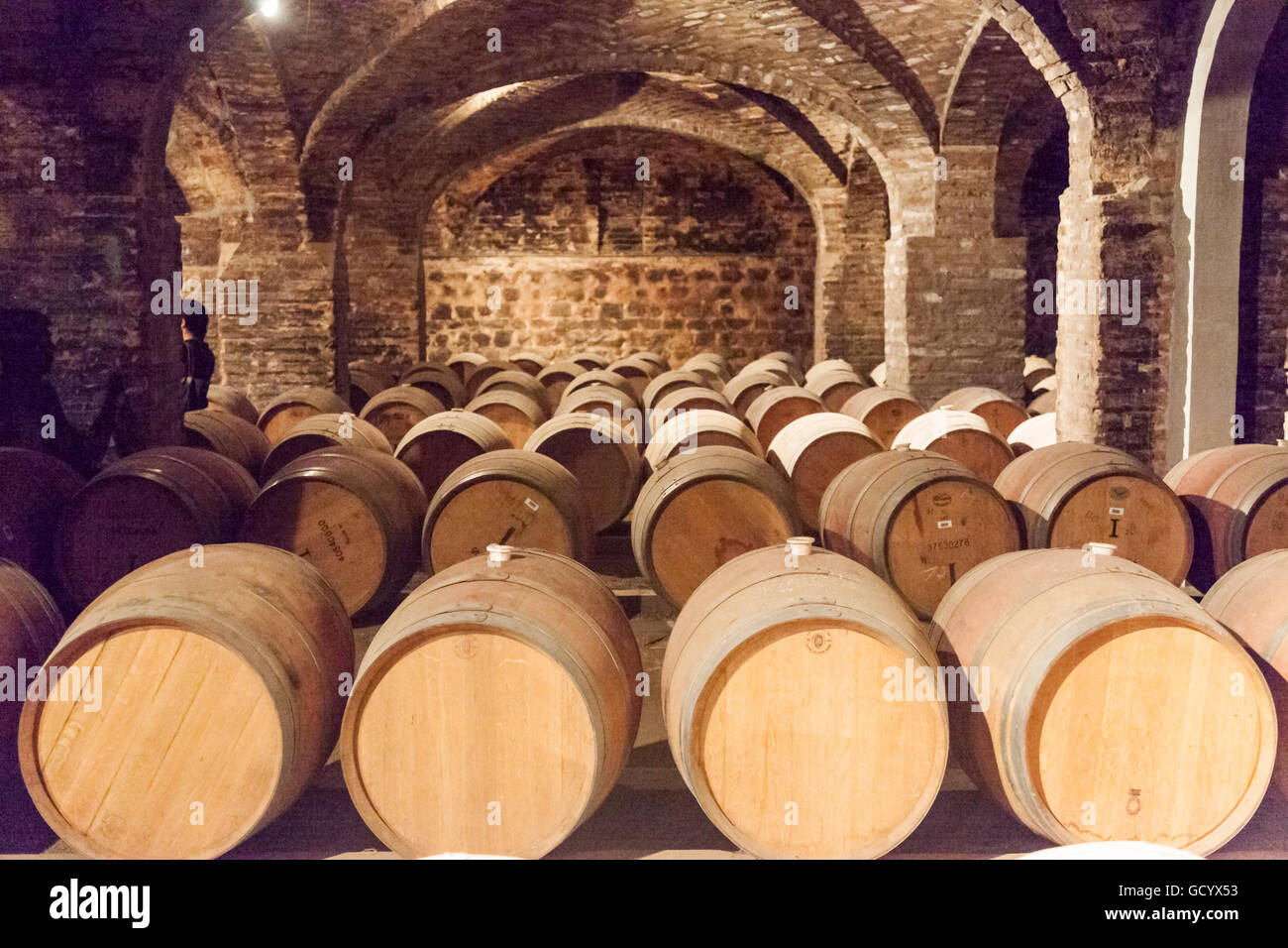 Weingut Eiche Barrells in Santiago Chile Stockfoto