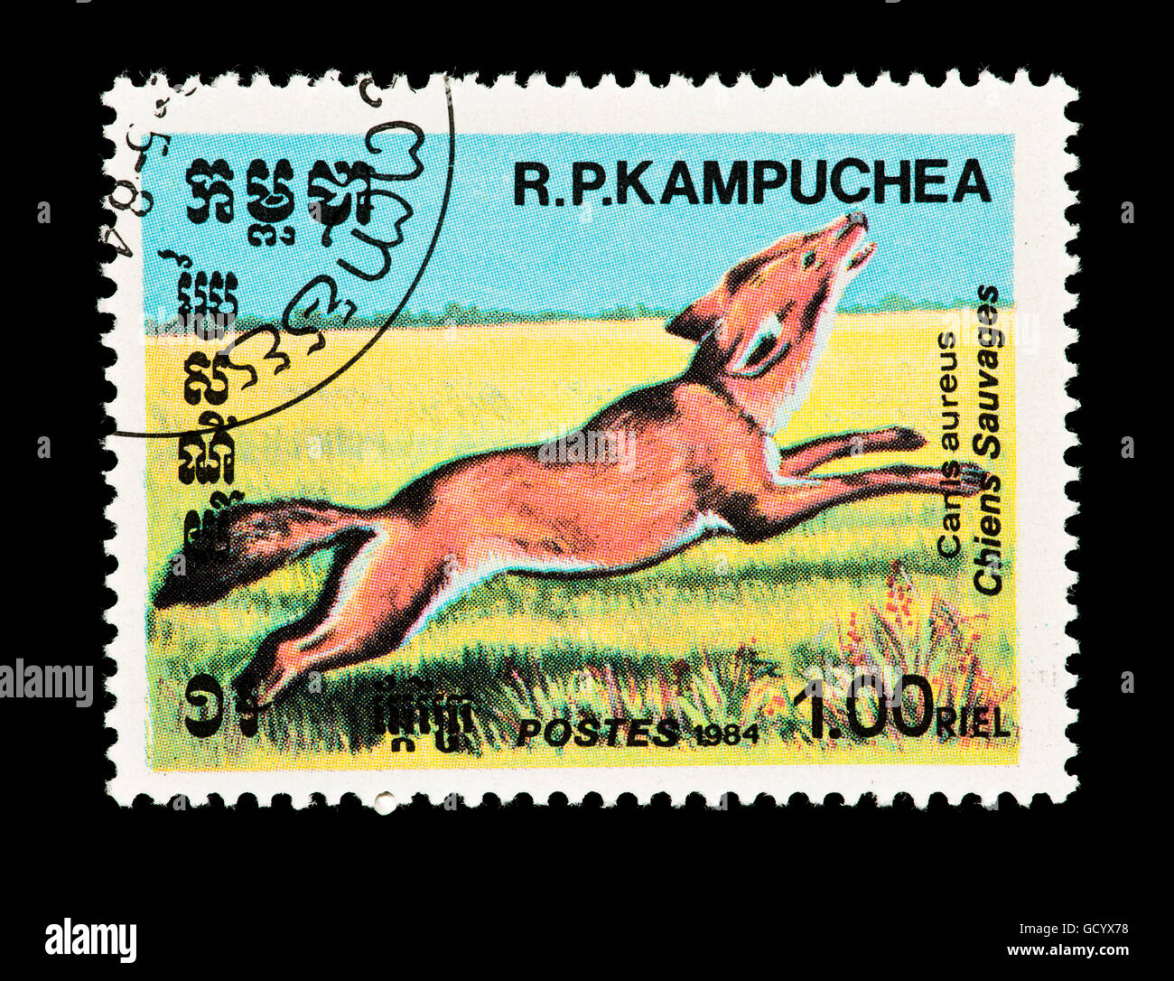 Briefmarke aus Kambodscha Darstellung ein Goldschakal (Canis Aureus) Stockfoto