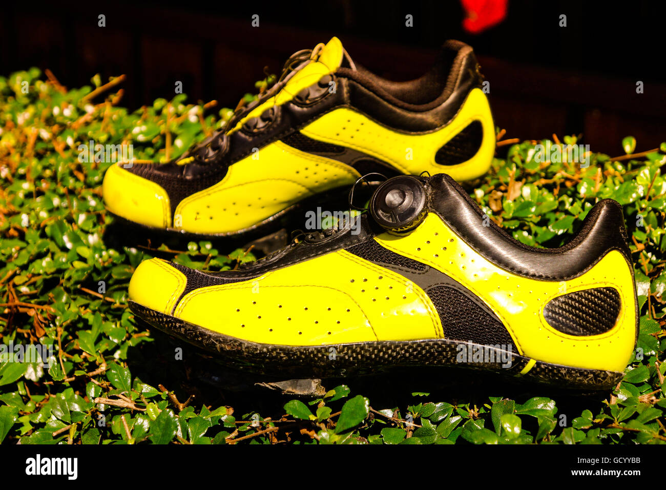 Die gelbe Schuh auf Anlage, schöner Schuh auf noch Natur Hintergrund steht. Stockfoto