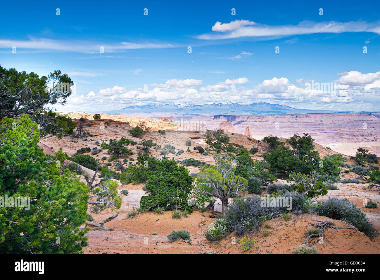 Mesa Arch im Canyonlands National Park in Utah Stockfoto