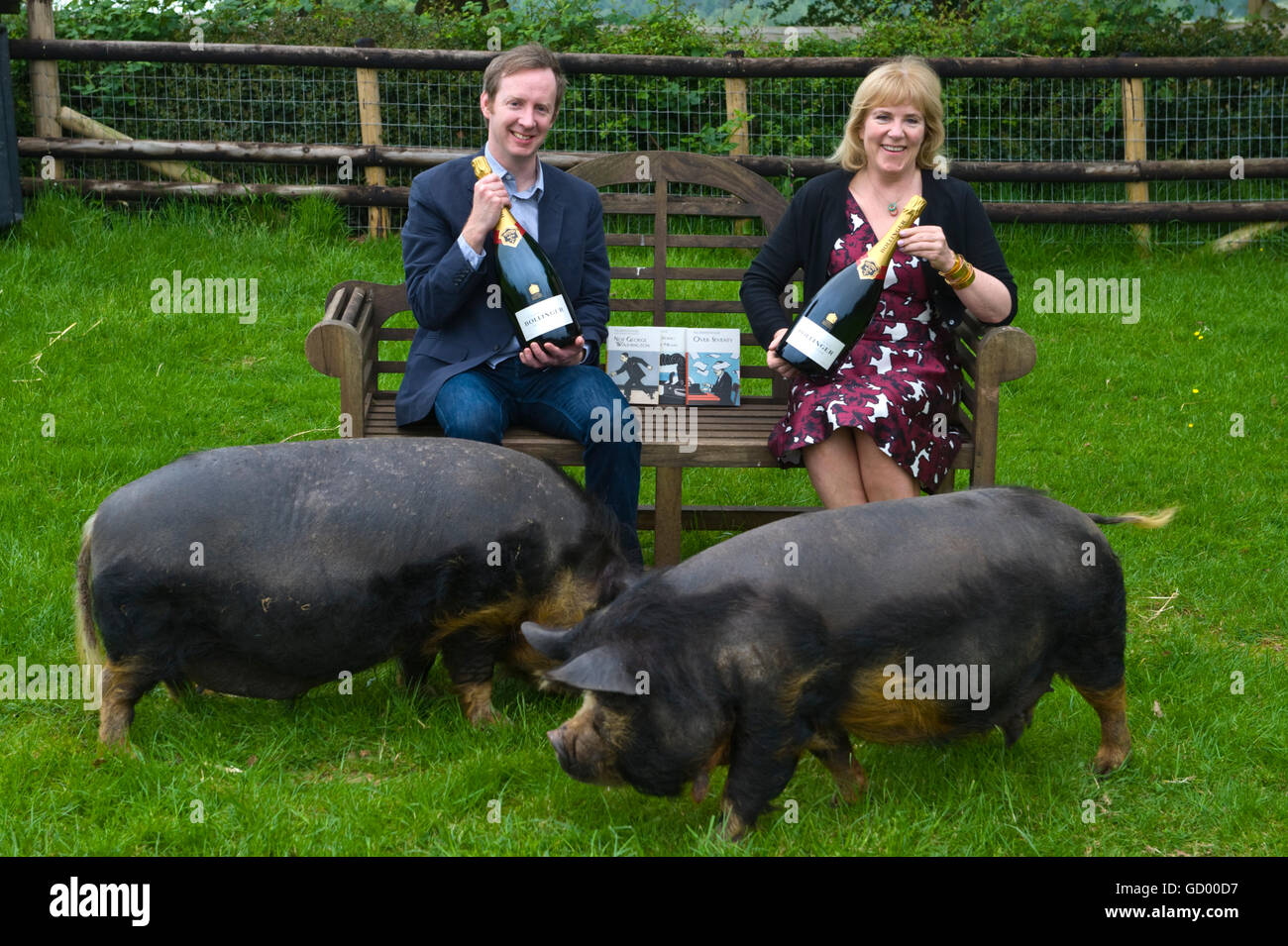 Bollinger Everyman Wodehouse Prize für Comic-Preisträger Paul Murray und Hannah Rothschild mit Schweinen bei kleinen Rassen Farm Park & Eule Centre, Kington, Hereford, Herefordshire HR5 3HF Stockfoto