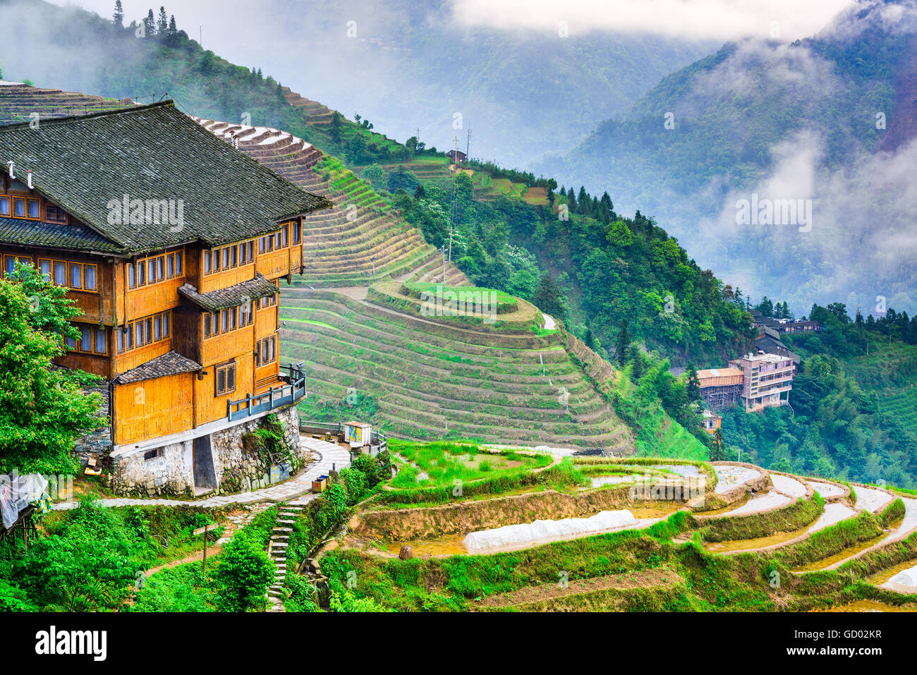 YAOSHAN Berg, Guilin, China Hang Reis Terrassen Landschaft. Stockfoto