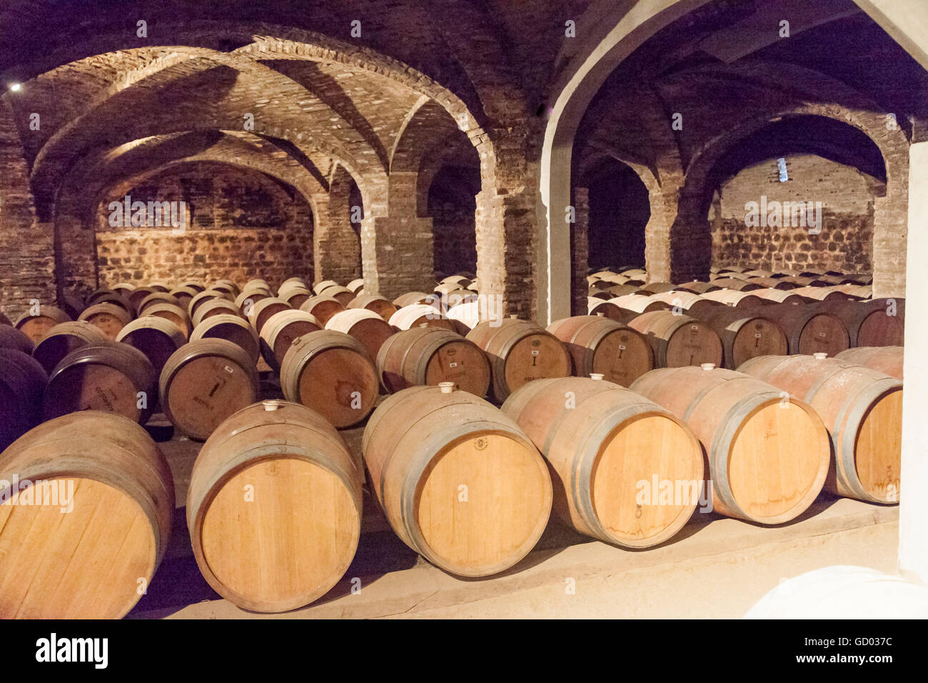 Weingut Eiche Barrells in Santiago Chile Stockfoto
