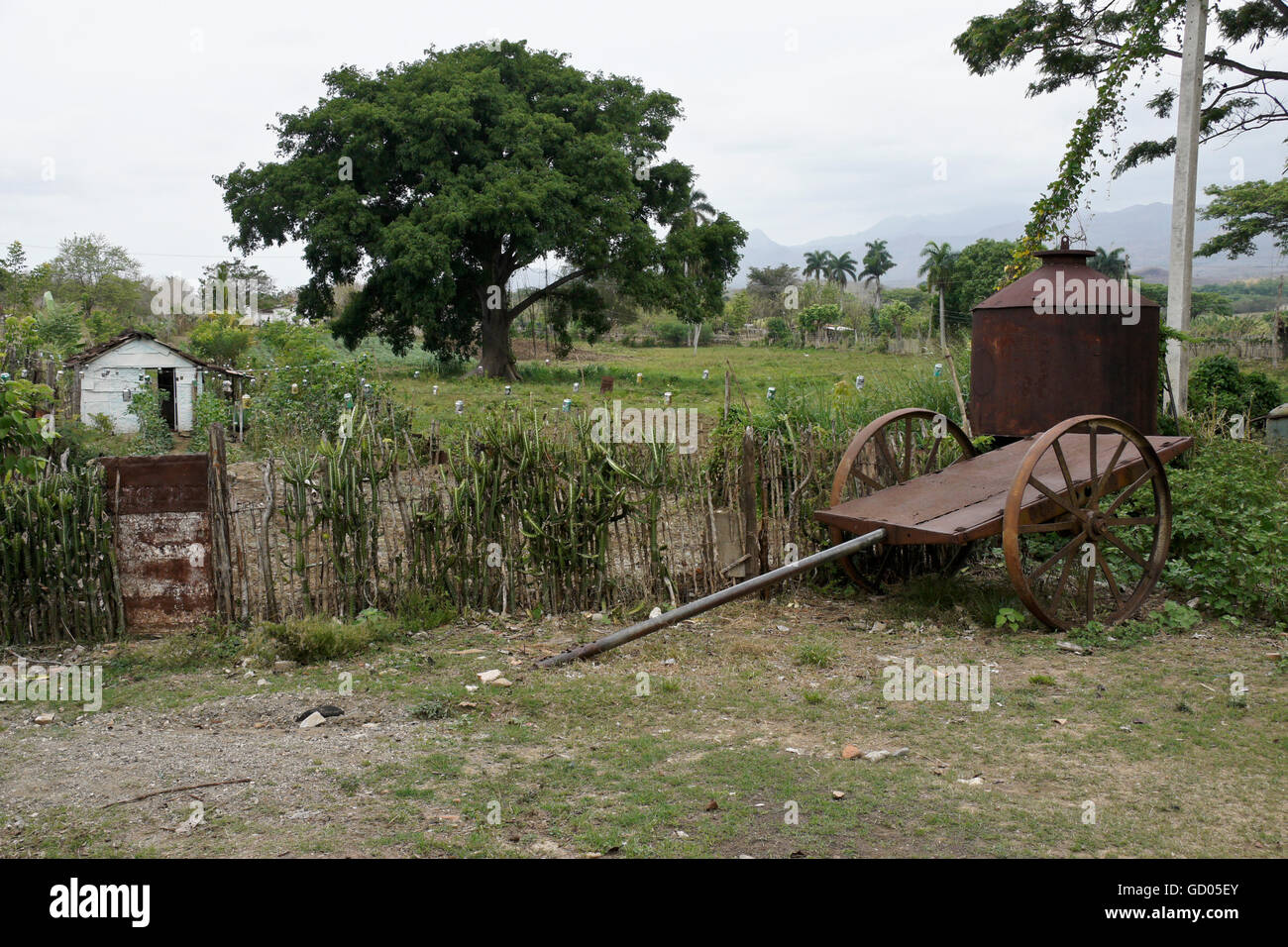 Kleiner Bauernhof in Valle de Los Ingenios (Tal der Zuckerfabriken), Trinidad, Kuba Stockfoto