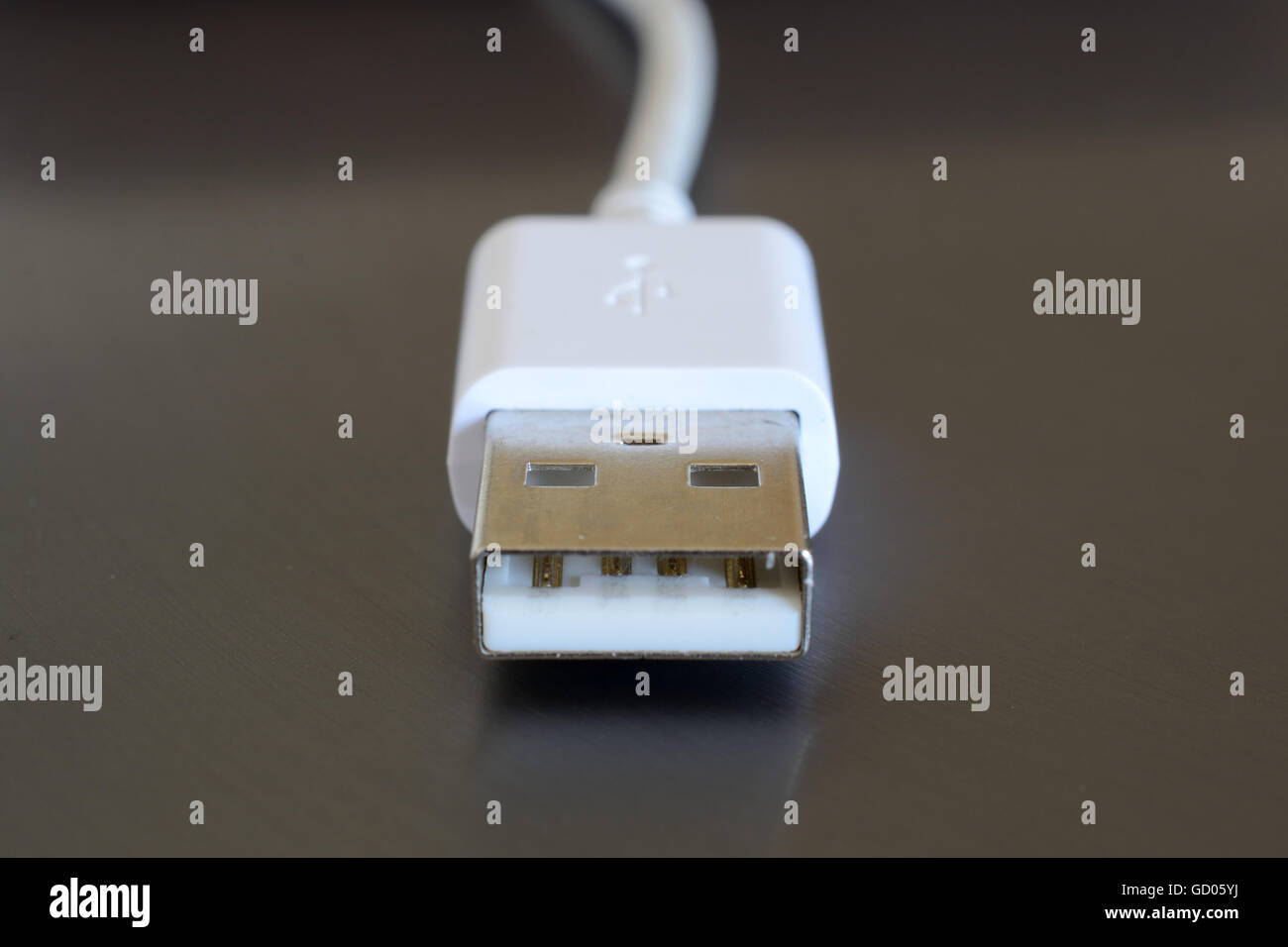 Weiß USB Stecker closeup Stockfoto