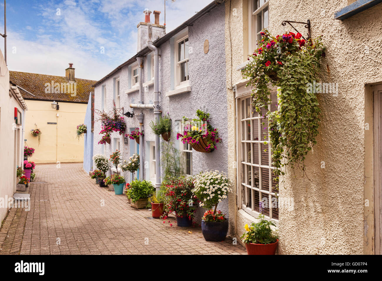 COB Lane, Tenby, Pembrokeshire, Wales, Großbritannien Stockfoto