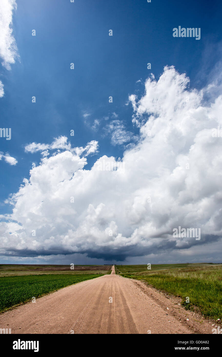 Ein Feldweg führt in ein Gewitter in der Nähe von Yuma, Colorado, 23. Mai 2015. Stockfoto