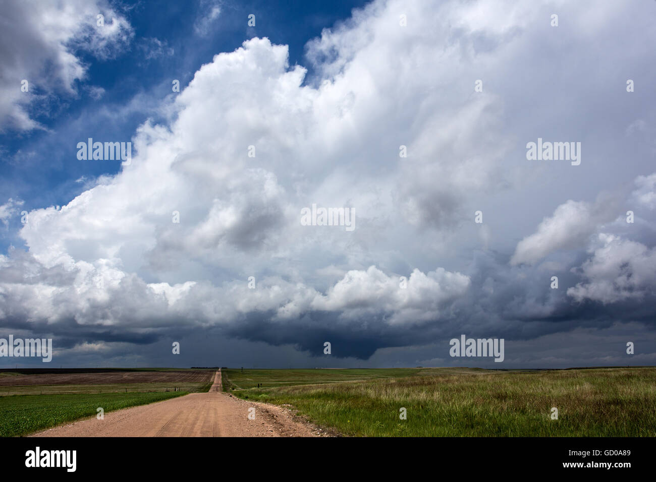 Ein Feldweg führt in ein Gewitter in der Nähe von Yuma, Colorado, 23. Mai 2015. Stockfoto