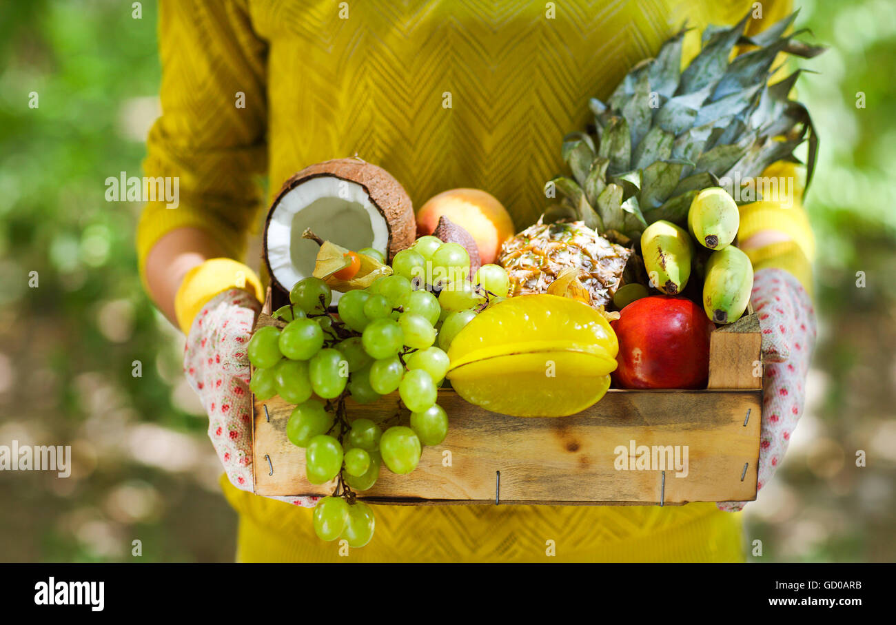 Frau mit Handschuhen mit frischen Früchten im Feld in ihren Händen. Nahaufnahme Stockfoto