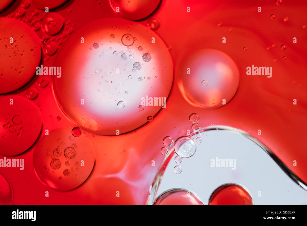 blutrote Bläschen Stockfoto