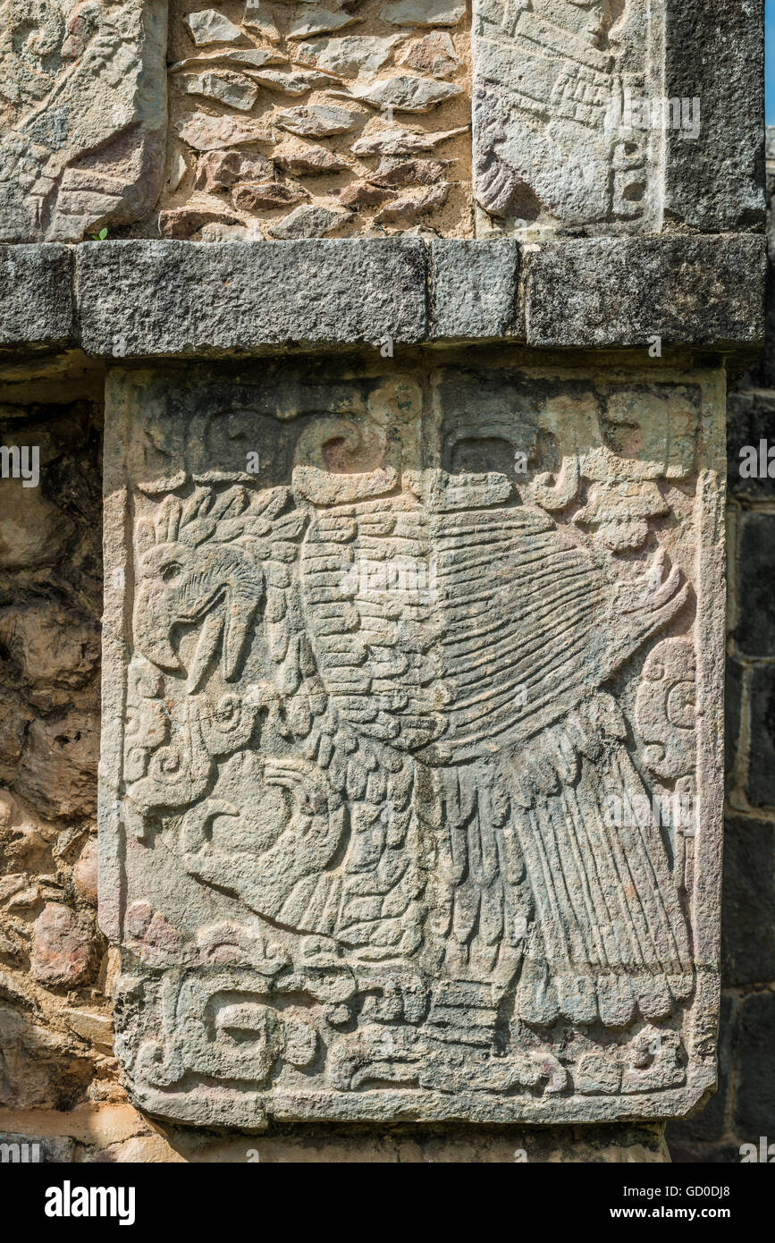 Gravuren wie dieser Adler decken die Maya-Ruinen von Chichen Itza in Mexiko. Stockfoto