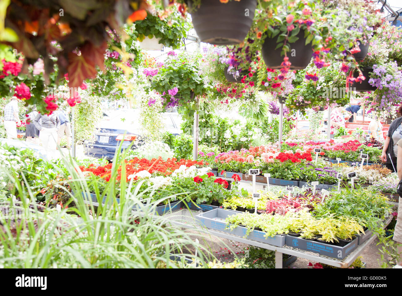 MONTREAL - 28. Mai 2016: Marche Atwater ist ein ikonische Markt mit Metzger, Feinkostläden & andere Anbieter, sowie lokale Produkte & s Stockfoto