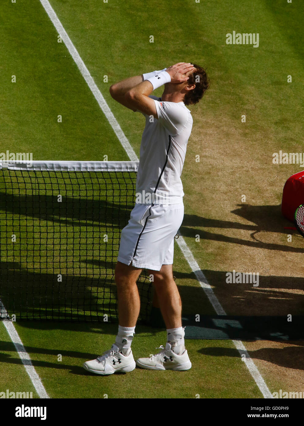 10.07.2016. all England Lawn-Tennis and Croquet Club, London, England. Wimbledon Tennis Championships Tag 14. Das Finale der Männer Singles zwischen Andy Murray (GBR) (2) und Milos Raonic (CAN) (6). Andy Murray (GBR) hält seinen Kopf in seinen Händen nach dem Gewinn seines zweiten Wimbledon-Titel, Sieg über Milos Raonic (CAN) in zwei Sätzen Stockfoto